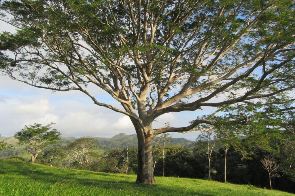 Cabanas Canas Castilla La Cruz  Ngoại thất bức ảnh