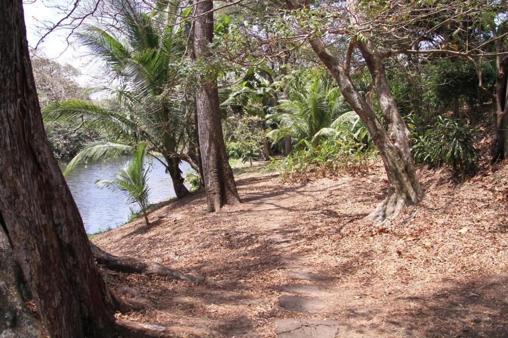 Cabanas Canas Castilla La Cruz  Ngoại thất bức ảnh